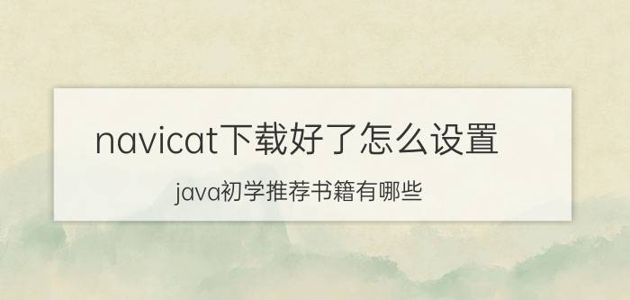 navicat下载好了怎么设置 java初学推荐书籍有哪些？